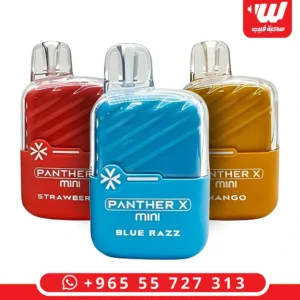 جهاز بانثر اكس ميني 1000 سحبة جاهزة بتصميم مدمج وألوان متنوعة لمحبي الفيب السريع.